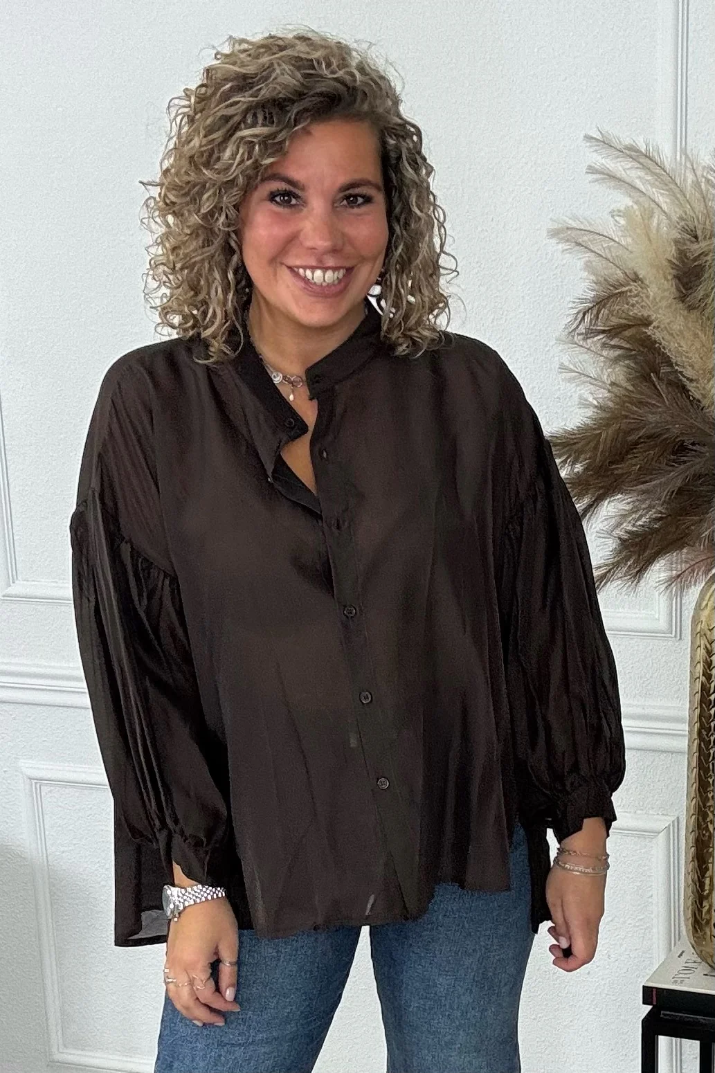 Sheer Balloon Sleeve Blouse - Brown